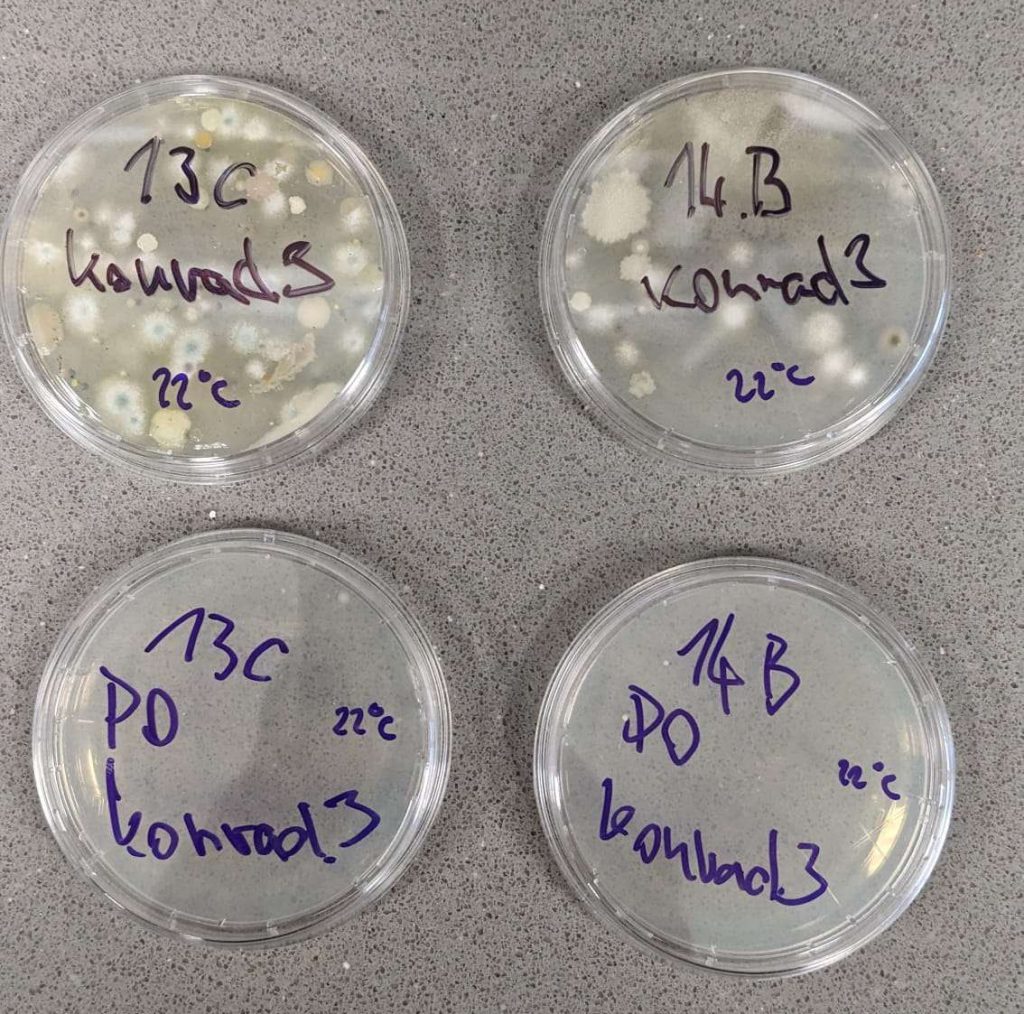 [DE VZOR] Unikátní vědecký projekt Alkionu s VUT a MUNI